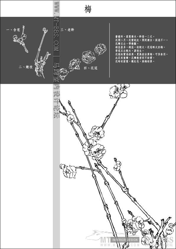 Collection of Japanese Vectors(AI)_1 (20).jpg