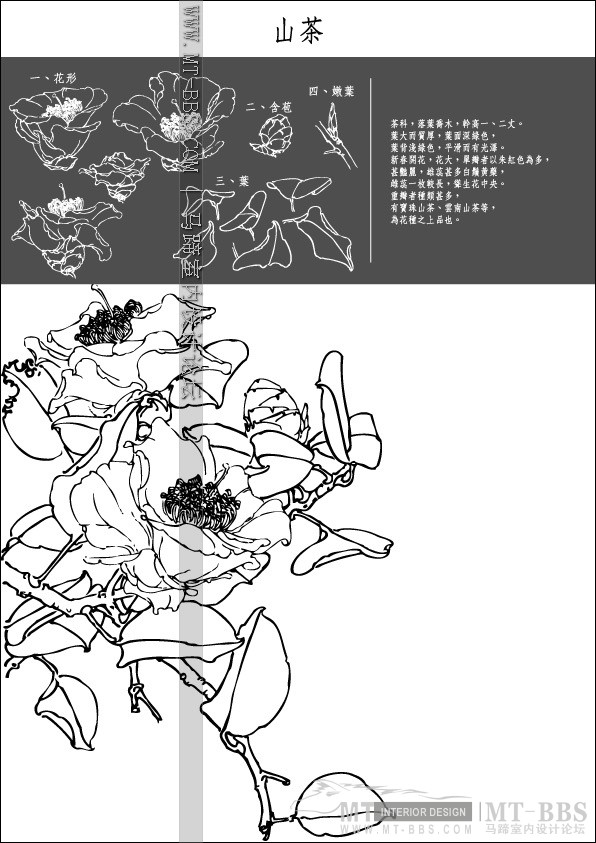 Collection of Japanese Vectors(AI)_1 (23).jpg