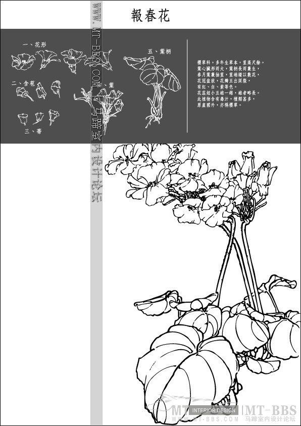 Collection of Japanese Vectors(AI)_1 (25).jpg