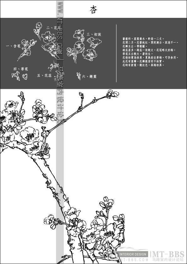 Collection of Japanese Vectors(AI)_1 (29).jpg