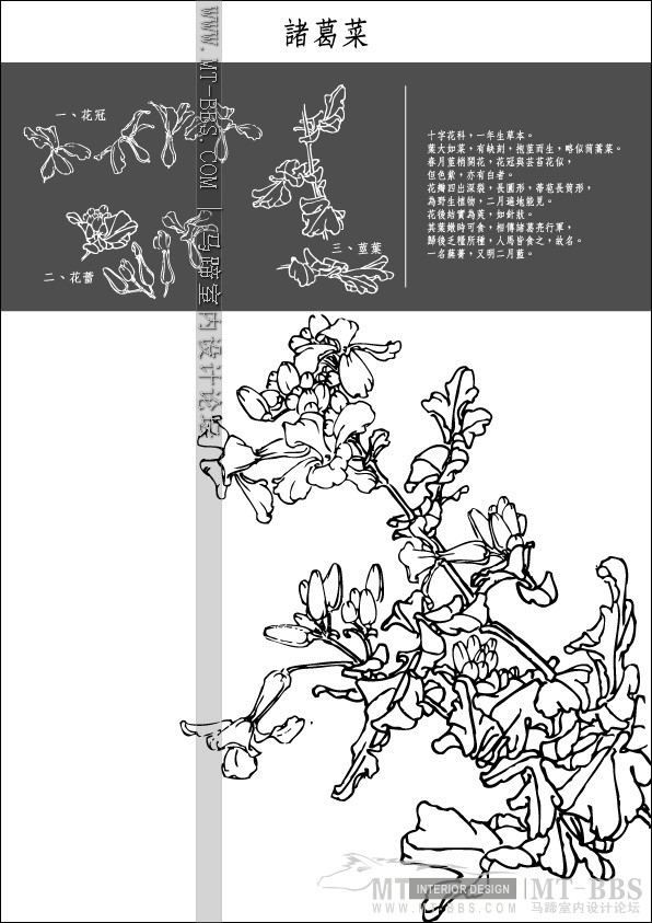 Collection of Japanese Vectors(AI)_1 (32).jpg