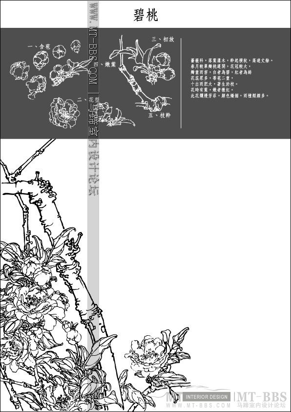 Collection of Japanese Vectors(AI)_1 (36).jpg