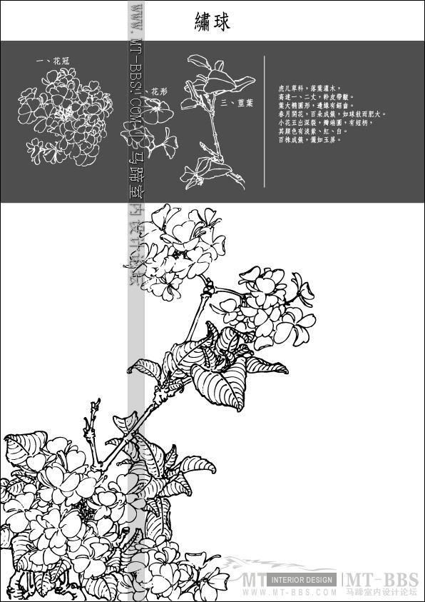 Collection of Japanese Vectors(AI)_1 (37).jpg
