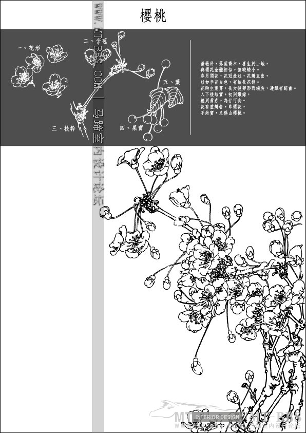 Collection of Japanese Vectors(AI)_1 (43).jpg