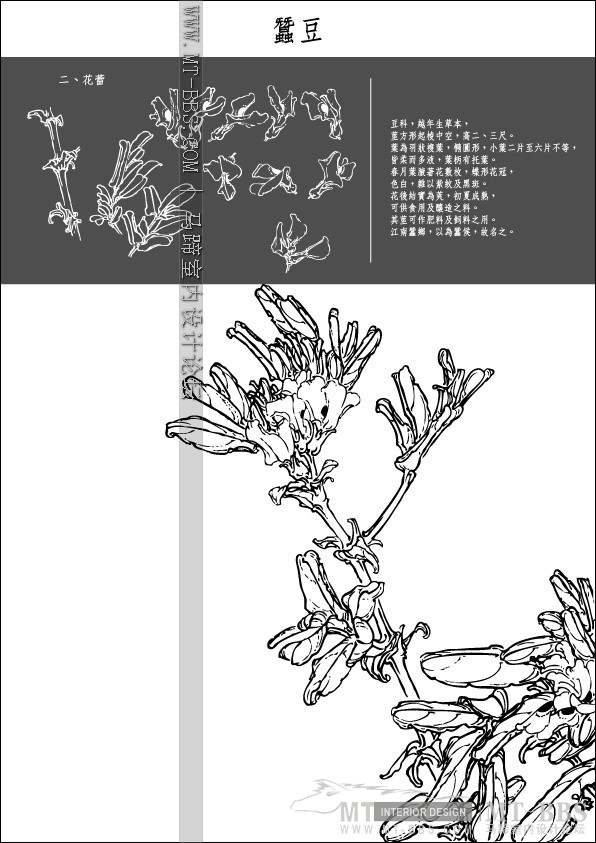 Collection of Japanese Vectors(AI)_1 (44).jpg