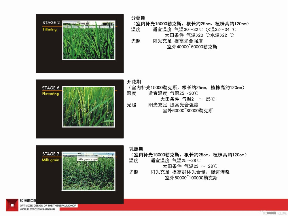 2010上海世博会中国馆深化设计--东方的寻觅_2010上海世博会中国馆83.jpg