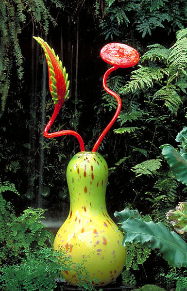 glass_DALE_CHIHULY(玻璃工艺饰品)_MT-BBS_102.jpg