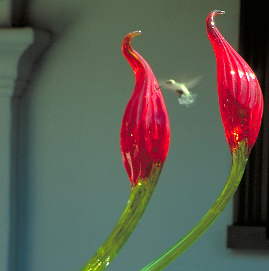 glass_DALE_CHIHULY(玻璃工艺饰品)_MT-BBS_103.jpg