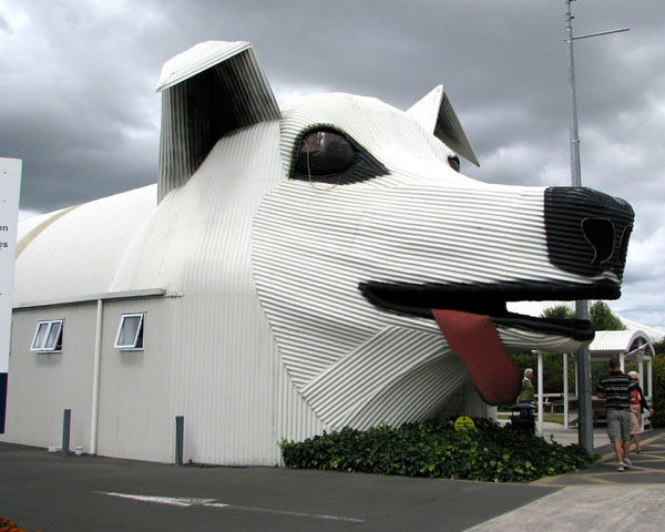 Sheepdog大厦Tirau，怀卡托，新西兰