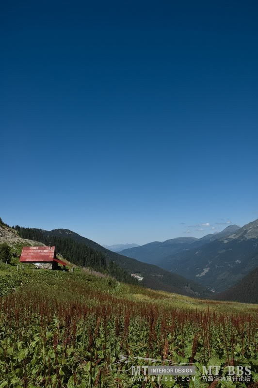 125.jpg