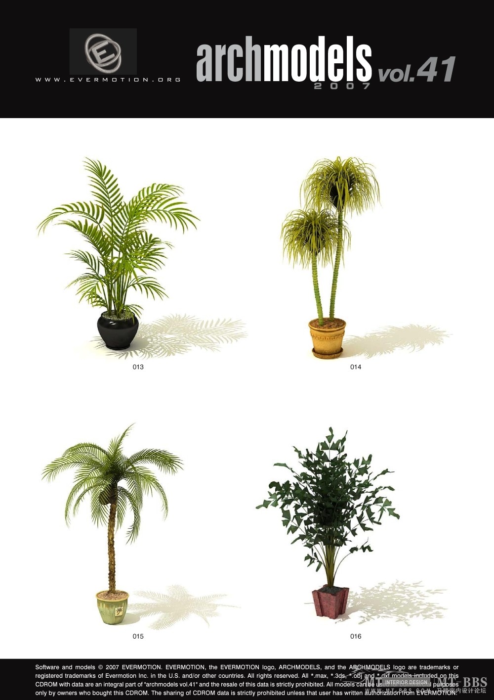 植物模型_4.jpg