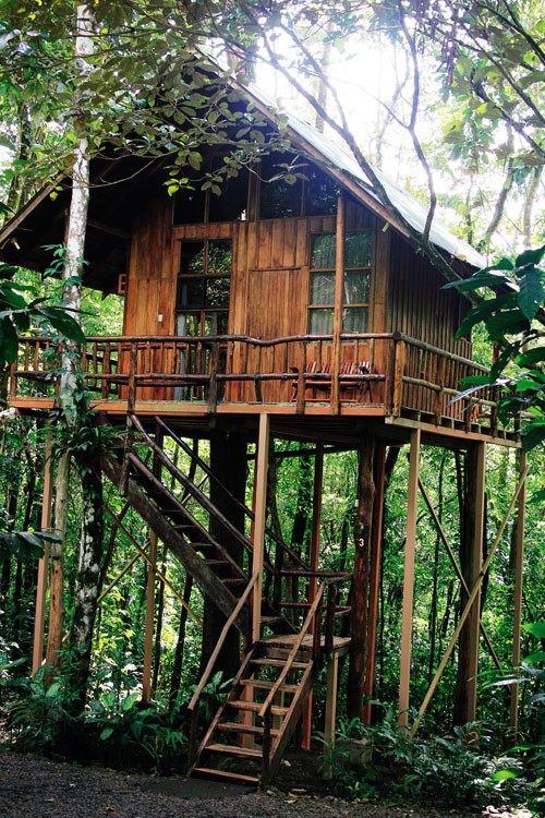 在热带雨林安享自然-Tree Houses in Costa Rica 4.jpg