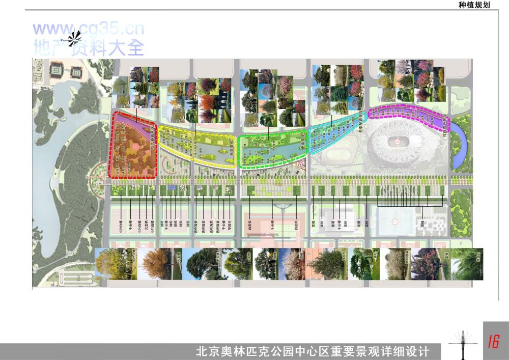 经典景观设计全案之北京2008奥林匹克公园（节选）_16种植规划.jpg