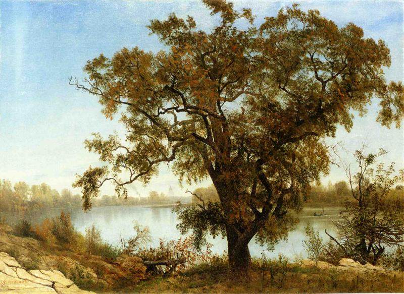 Albert Bierstadt (1830-1902)名作欣赏_A View from Sacramento 1875.jpg