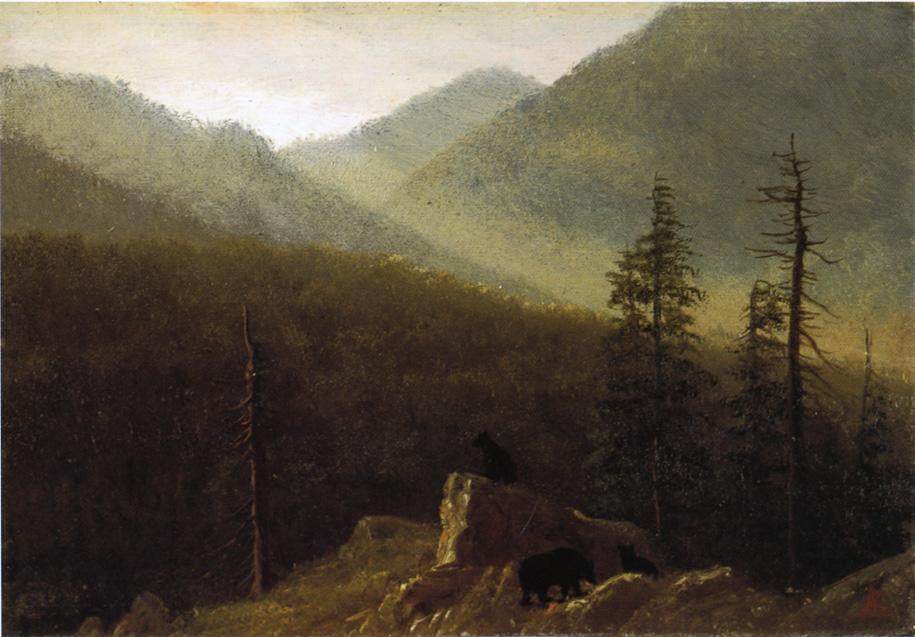 Albert Bierstadt (1830-1902)名作欣赏_Bears in the Wilderness 1870.jpg