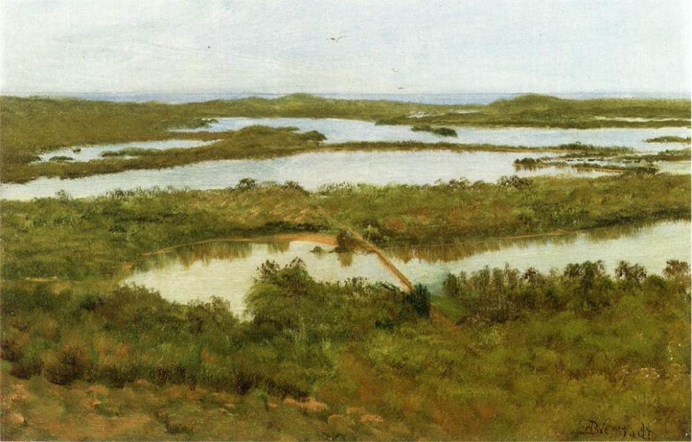 Albert Bierstadt (1830-1902)名作欣赏_Bierstadt_Albert_A_River_Estuary.jpg