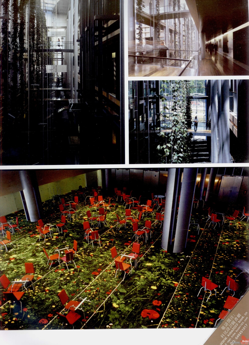 13671144854 0139.jpg