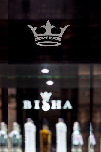 加拿大 多伦多 BISHA HOTEL_20101216211059875.jpg