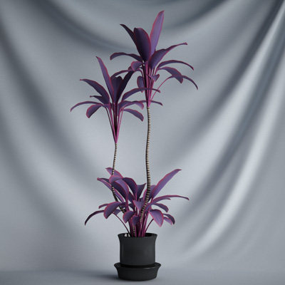 CGAXIS_plants_VRAY 精品模型_13.jpg