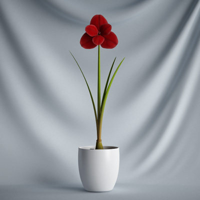 CGAXIS_plants_VRAY 精品模型_06.jpg