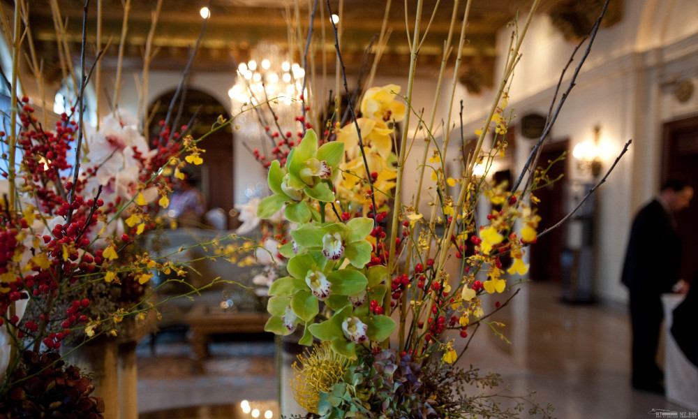 The St. Regis Washington_lobby-the-st-regis-washington-d-c--v652933.jpg