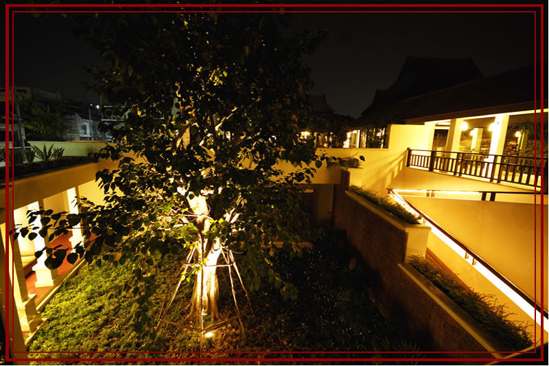 【菩提海悦酒店】Bodhi Serene Boutique Hotel  泰国 清迈_bodhi_serene_tree_view_night.jpg