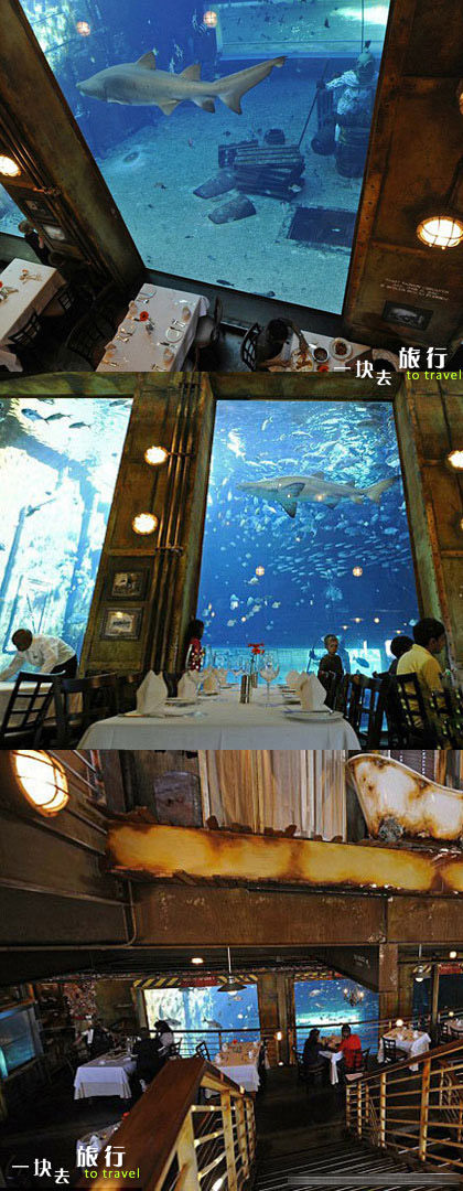 Cargo Hold restaurant (南非德班水下餐厅）_20110122-monday-22.jpg