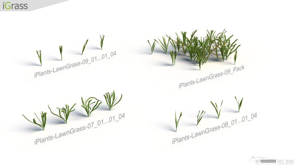 iGrass_iPlants-Grass-6.jpg