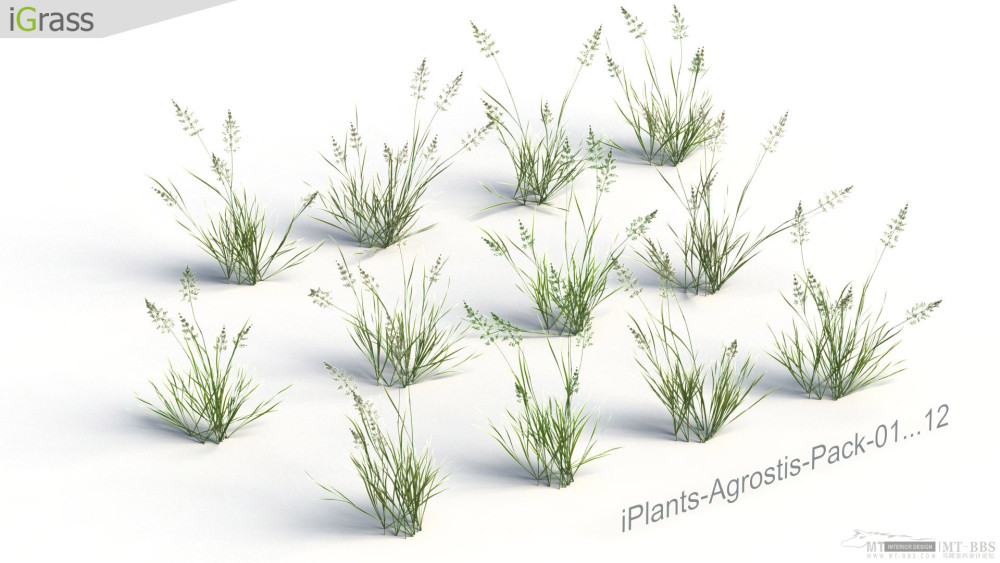 iGrass_iPlants-Grass-2.jpg