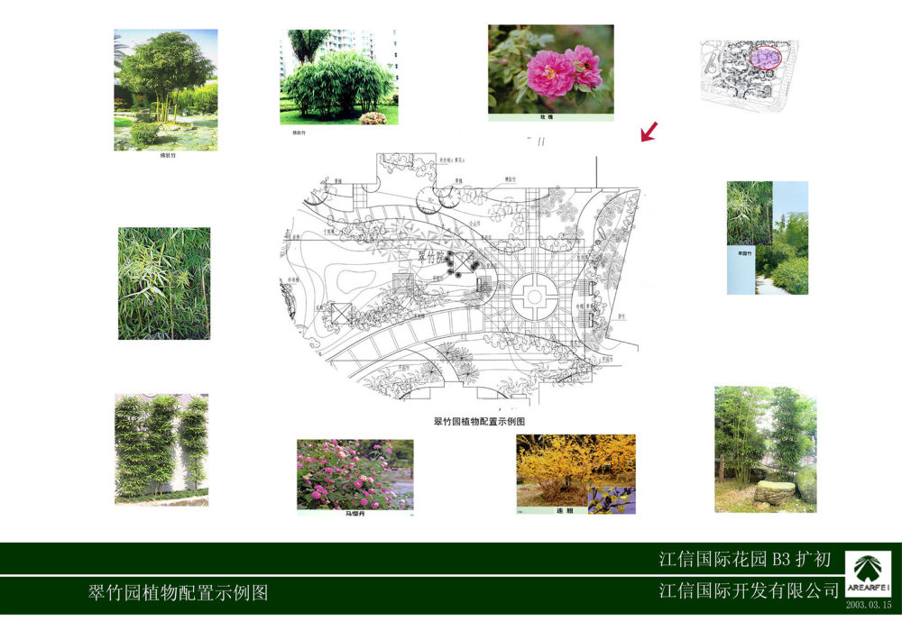 英国雅而菲_028翠竹园植物示例.jpg