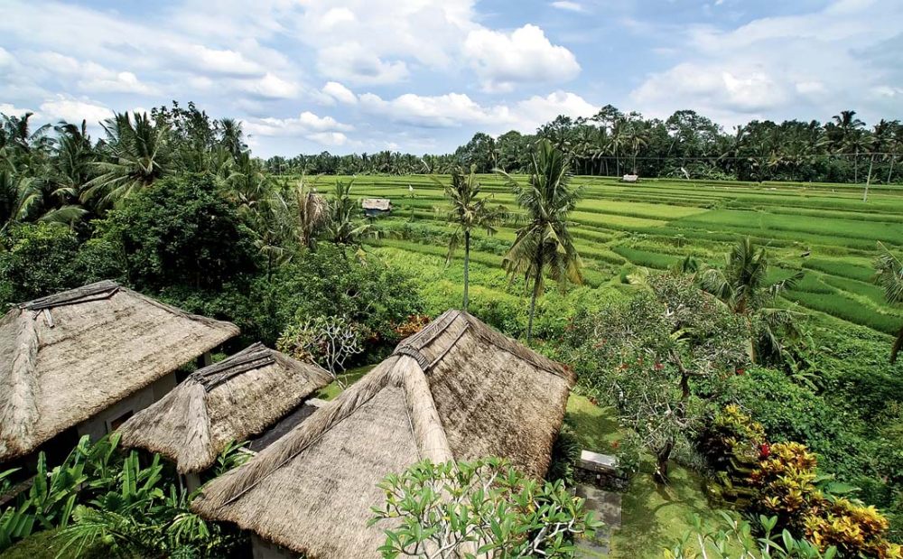 乌布 玛雅度假村 MAYA UBON RESORT_browseti.jpg