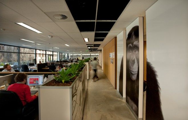 李奥贝纳(Leo Burnett)位于悉尼的新办公室——HASSELL 作品_20110323205444691.jpg
