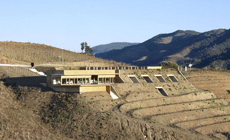 西班牙塔拉戈纳酒窖“TROSSOS DEL PRIORAT WINERY”_pathFoto3321.jpg