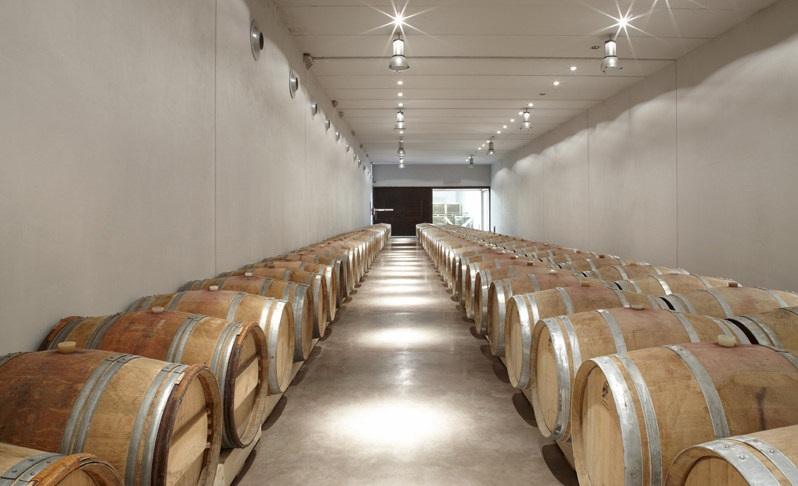 西班牙塔拉戈纳酒窖“TROSSOS DEL PRIORAT WINERY”_pathFoto3344.jpg