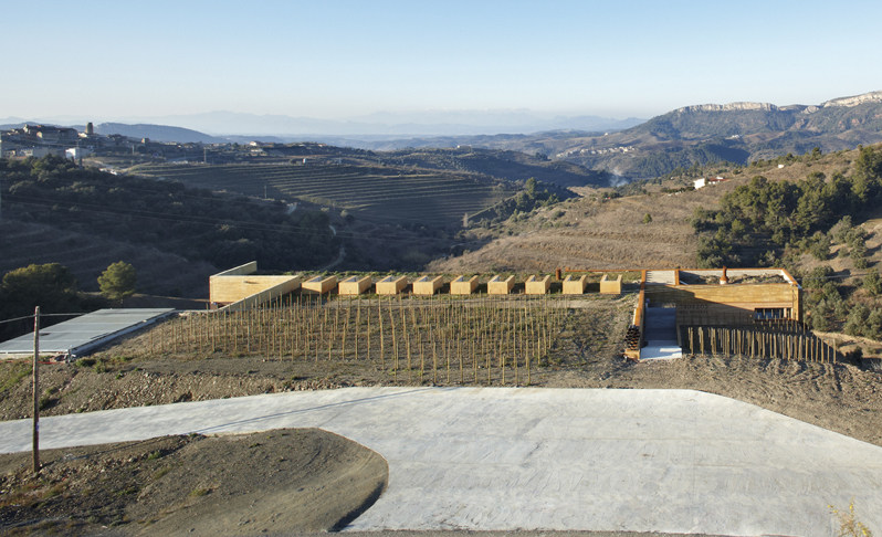 西班牙塔拉戈纳酒窖“TROSSOS DEL PRIORAT WINERY”_pathFoto3323.jpg