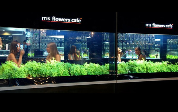 乌克兰itis flowers 咖啡店_08.jpg