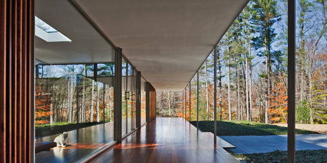 玻璃/木屋_Glass-Wood-House-7_interior.jpg