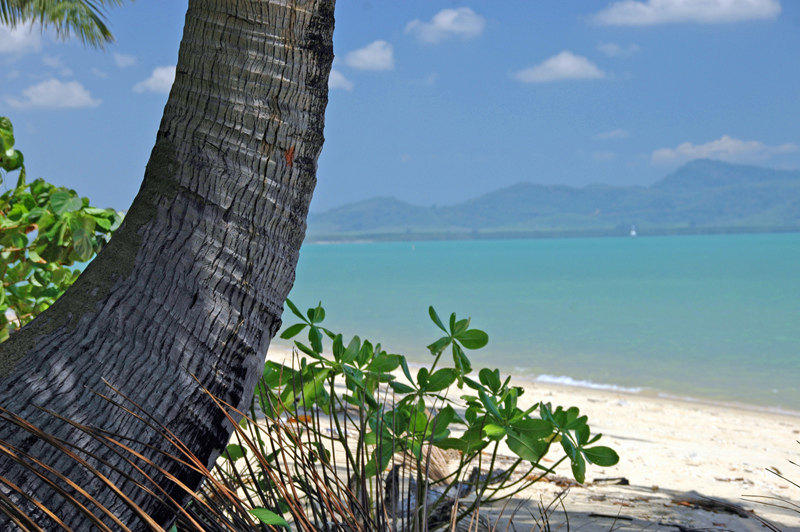 the village coconut island/普吉岛.泰国_5144335043_011756c42f_b.jpg