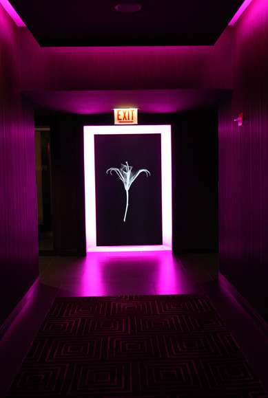 TheWit酒店/芝加哥_P_3_Spa_lift_lobby_IMG_6448.jpg