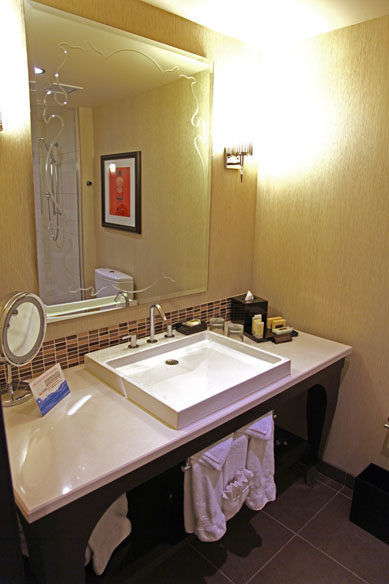 TheWit酒店/芝加哥_P4_Bathroom_IMG_6472.jpg