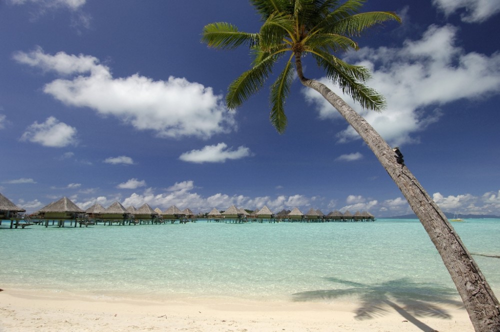 5)Intercontinental Bora Le Moana Resort.jpg