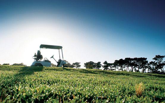 Steenberg hotel / 开普敦,南非_gallery_15_big1.jpg