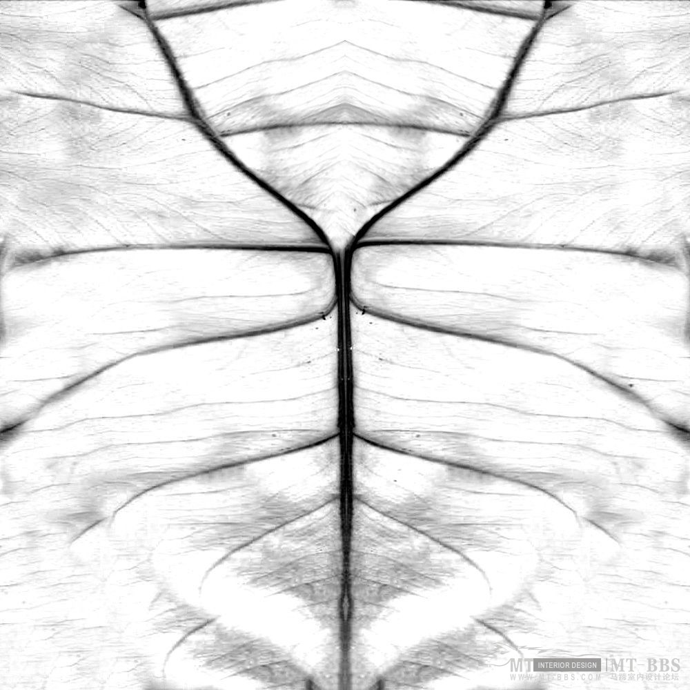 欧式别墅照片及模型_Arch41_017_leaf_bump.jpg