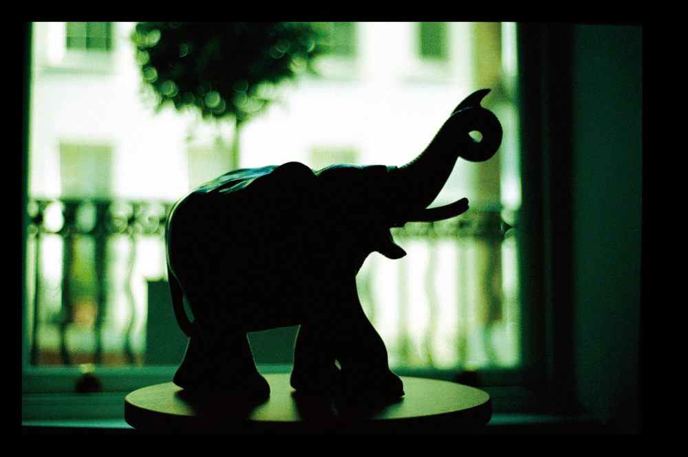 Rocco Forte Brown's Hotel - 伦敦_20070726_Browns_Elephant in The Kipling Suite.jpg