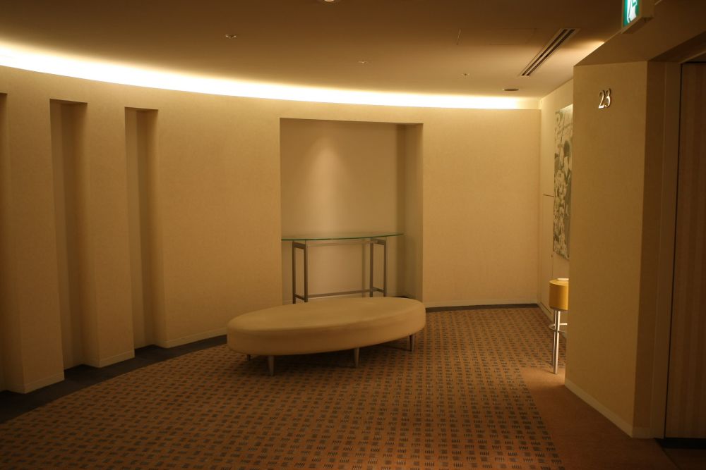 日本TOKYO DOME HOTEL_4O5R0714_调整大小.JPG