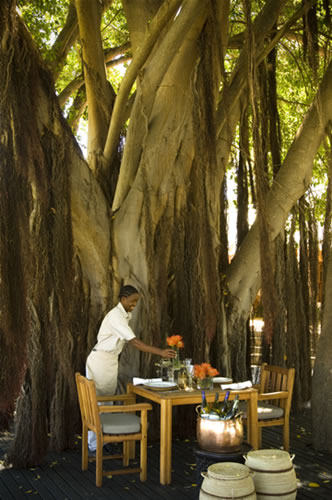 南非 bushmans kloof 酒店_Outside Dining 11.jpg