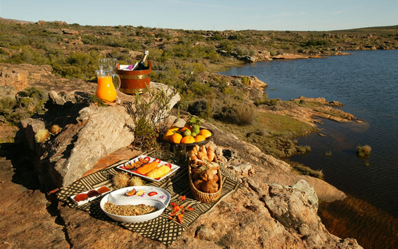 南非 bushmans kloof 酒店_Outside Dining 28.jpg