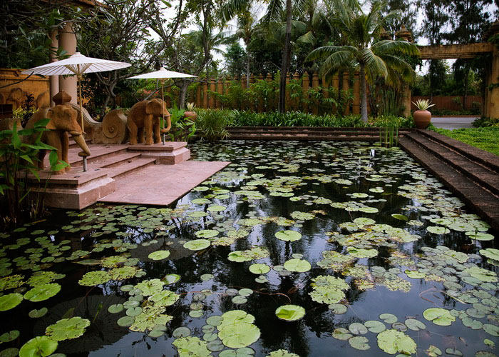 安纳塔拉华欣度假村，泰国_Lobby pond view-AHH_380.jpg