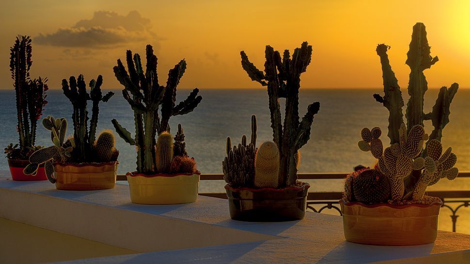 La Samanna/圣马丁岛,加勒比海_001712-17-cactus-terrace-sea-view.jpg