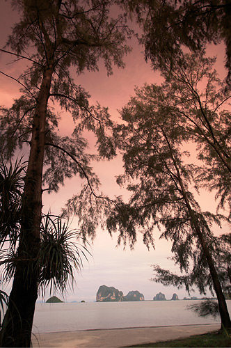 安纳塔拉丝蔻度假村_Palm-tree-sunset-ASK_593.jpg